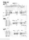 Fig. 12 - Zoom lens and imaging apparatus
