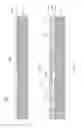 Fig. 07 - Passivated microelectromechanical structures and methods