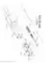 Fig. 08 - Eyewear temple