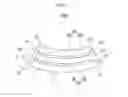 Fig. 08 - Curved liquid crystal display