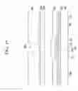 Fig. 20 - Liquid crystal display and method of manufacturing the same