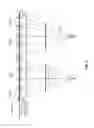 Fig. 04 - SCREEN CONFIGURATION FOR DISPLAY SYSTEM