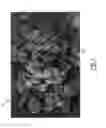 Fig. 02 - Colorless ultraviolet security toner