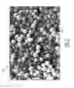 Fig. 03 - Colorless ultraviolet security toner