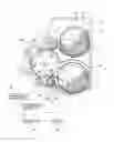Fig. 01 - DEVELOPING DEVICE AND IMAGE FORMING APPARATUS