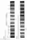 Fig. 07 - Image formation device using long medium and capable of correcting misregistation