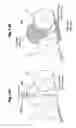 Fig. 12 - Medium carrying device and image forming apparatus