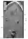 Fig. 06 - Intelligent control apparatus, system, and method of use