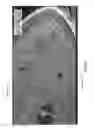 Fig. 10 - Intelligent control apparatus, system, and method of use