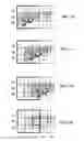 Fig. 14 - Hardware acceleration of computer vision feature detection