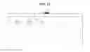 Fig. 14 - GESTURE RECOGNITION APPARATUS, VEHICLE HAVING THE SAME AND METHOD FOR CONTROLLING THE SAME