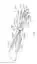 Fig. 06 - Motion and gesture input from a wearable device