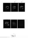 Fig. 03 - Mechanism to provide visual feedback regarding computing system command gestures