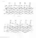 Fig. 09 - CONDUCTIVE PATTERN AND ELECTRODE PATTERN OF SINGLE-LAYER CAPACITIVE TOUCHSCREEN