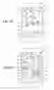 Fig. 14 - APPARATUS AND METHOD OF MANAGING A PLURALITY OF OBJECTS DISPLAYED ON TOUCH SCREEN