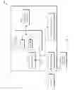 Fig. 05 - Mapping and reducing