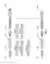 Fig. 06 - PRUNING FREE BLOCKS OUT OF A DECREMENTAL BACKUP CHAIN