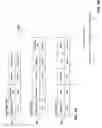 Fig. 03 - Detection and quantifying of data redundancy in column-oriented in-memory databases