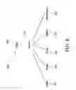 Fig. 07 - POLLING BASED SYNCHRONIZATION IN MANAGED NETWORKS