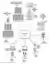 Fig. 01 - Platform identity architecture with a temporary pseudonymous identity