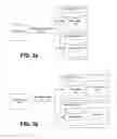 Fig. 04 - Tokenization column replacement