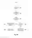 Fig. 06 - System and method for remote medical diagnosis