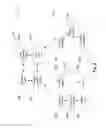 Fig. 07 - System and method for remote medical diagnosis