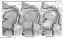 Fig. 01 - Image quality for diagnostic resolution digital slide images