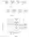 Fig. 03 - Image quality for diagnostic resolution digital slide images