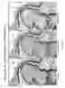 Fig. 08 - Image quality for diagnostic resolution digital slide images