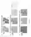 Fig. 11 - Image quality for diagnostic resolution digital slide images