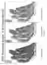 Fig. 12 - Image quality for diagnostic resolution digital slide images