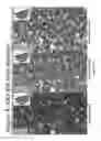 Fig. 13 - Image quality for diagnostic resolution digital slide images