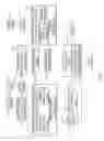 Fig. 03 - Optimizing the detection of objects in images