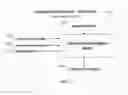 Fig. 25 - Implementations of, and methods of use for a pattern memory engine applying associative pattern memory for pattern recognition