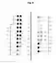 Fig. 10 - METHODS AND SYSTEMS FOR CONFIGURING RESERVATION SPACE OF VENUES
