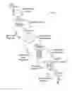Fig. 01 - SYSTEMS AND METHODS FOR PROCESSING AND MONITORING REBATES