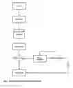 Fig. 05 - SYSTEM AND METHOD FOR THE REGISTRATION, COMPENSATION, MANAGEMENT AND ANALYSIS OF PRODUCT OR CONTENT CUSTOMIZED PURCHASE OR SELLING