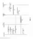 Fig. 07 - Dynamically generated audio in advertisements