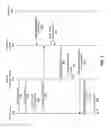 Fig. 06 - Dynamically selected background music for personalized audio advertisement