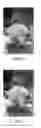 Fig. 03 - Image processing method, image processing apparatus and electronic device