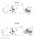 Fig. 06 - DETECTION METHOD AND DETECTION APPARATUS FOR DETECTING THREE-DIMENSIONAL POSITION OF OBJECT