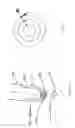 Fig. 08 - Methods and systems for corneal topography, blink detection and laser eye surgery