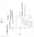Fig. 03 - Image processing system