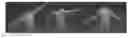 Fig. 01 - Subspace clothing simulation using adaptive bases