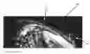 Fig. 01 - Real-time rendering of volumetric models with occlusive and emissive particles