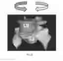 Fig. 06 - Kinematic analysis based on MRI bone marrow signals