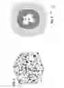 Fig. 04 - Digital pore alteration methods and systems