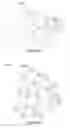 Fig. 07 - Rendering damaged-enhanced images in a computer simulation