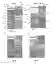 Fig. 04 - Game ticket sets and system and method for producing same